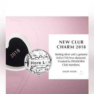 RARE 2018 Pandora Club exclusive charm